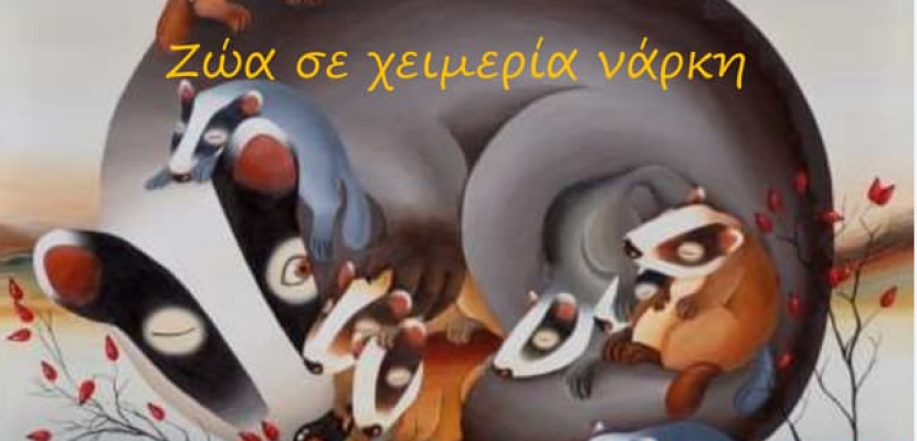 Σσσσσσ......τα ζωάκια κοιμούνται !